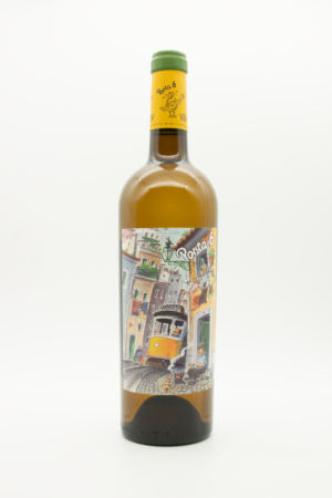 PORTA 6